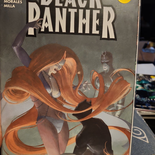 Black Panther #20 (Vol3)