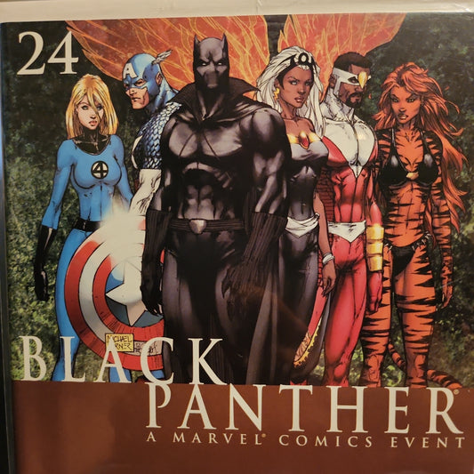 Black Panther #24 (Vol3)