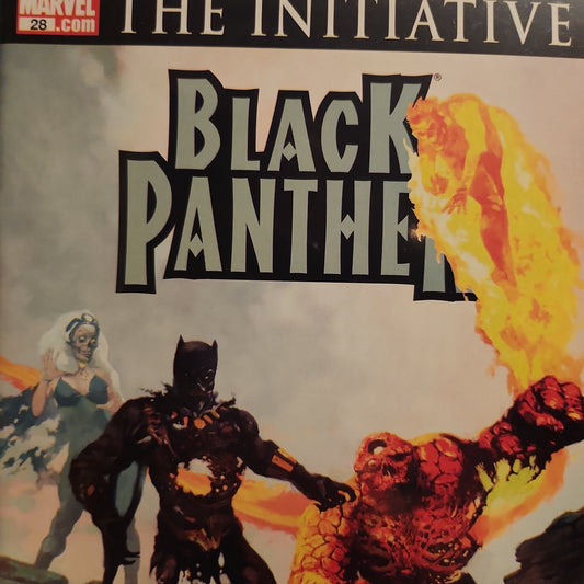 Black Panther #28 (Vol3)