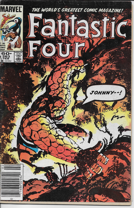 Fantastic Four (1961 1st Series) #263